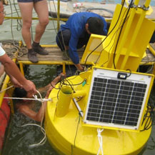 Multi-parameter Water Buoy Auto-monitoring System of Chongqing City